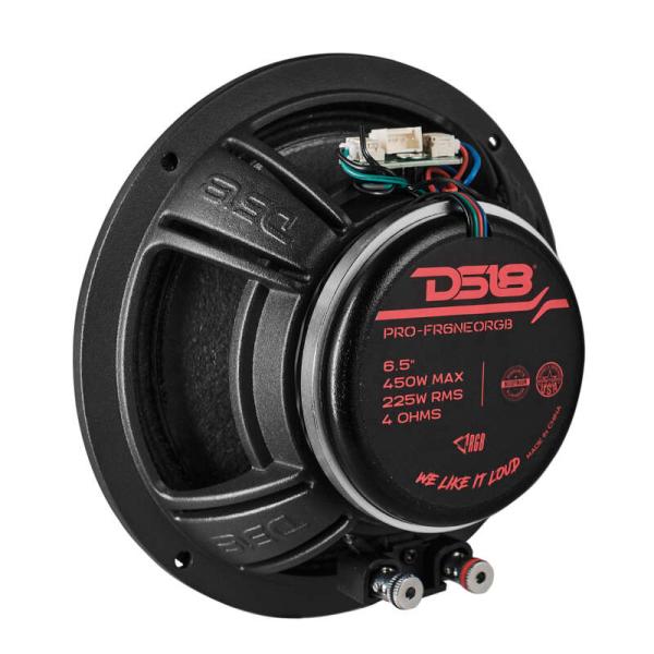 DS18 PRO-FR6NEORGB