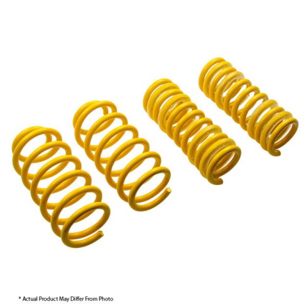 ST Suspensions 65837