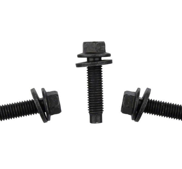 Ford Racing M-503317K-BOLT