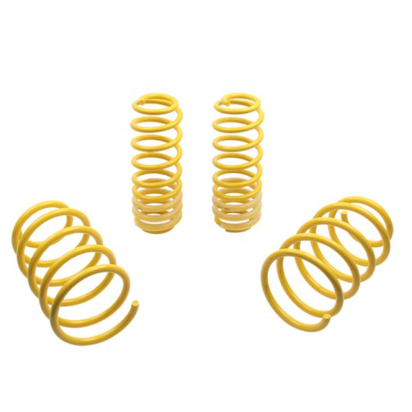 ST Suspensions 65627