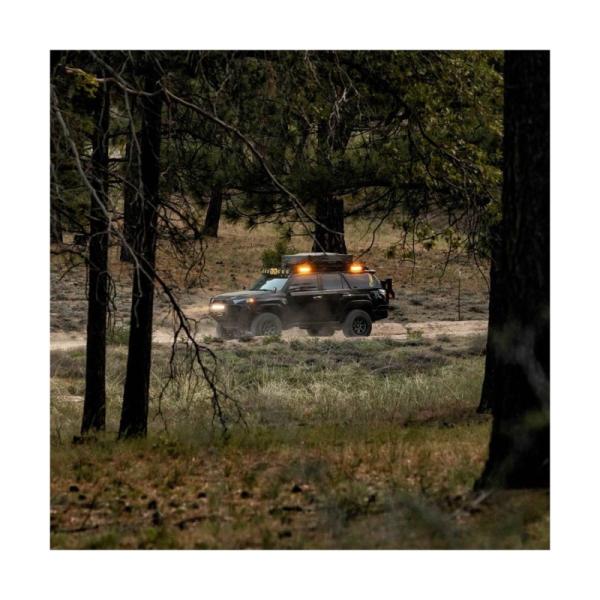 KC HiLiTES 92003