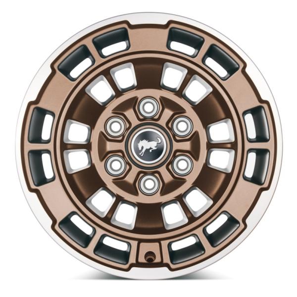 Ford Racing M-1007K-P1785BRN