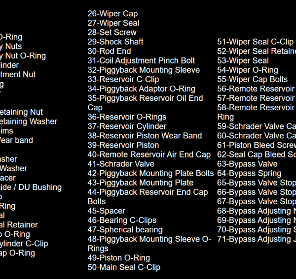 King Shocks CP20120-SSNR