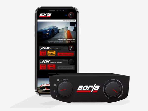 Borla 253100