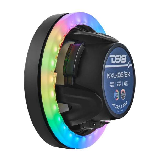 DS18 NXL-DLRING6