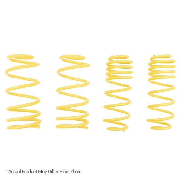ST Suspensions 65836
