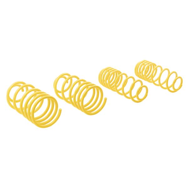 ST Suspensions 66249