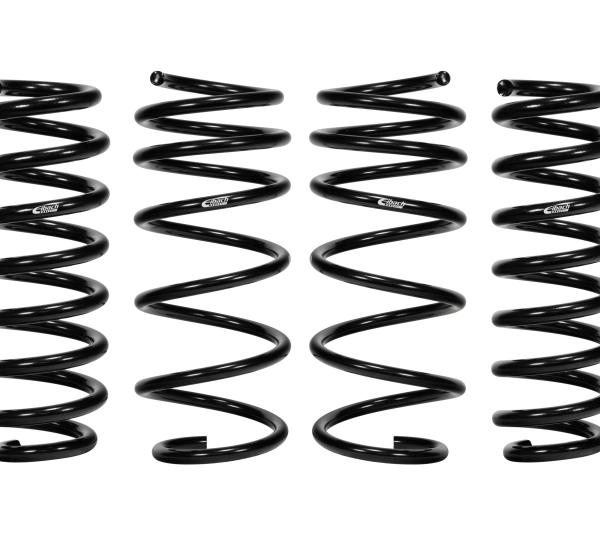 Eibach E10-201-004-01-22
