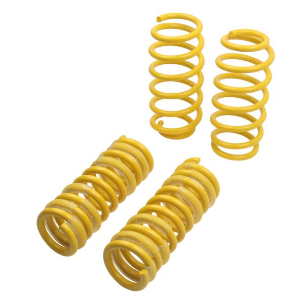 ST Suspensions 65503