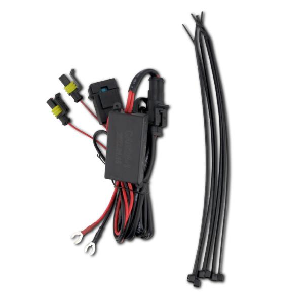 ANZO 111598