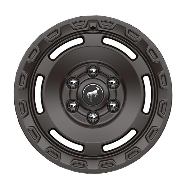 Ford Racing M-1007K-P1785E