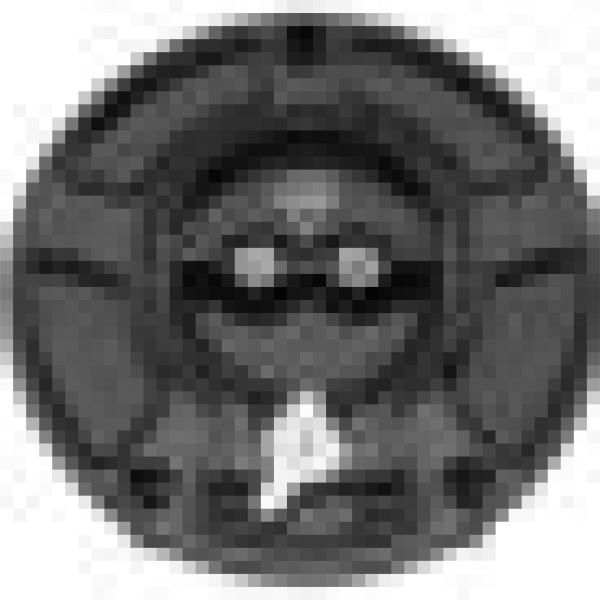 Vortex Racing GC210K