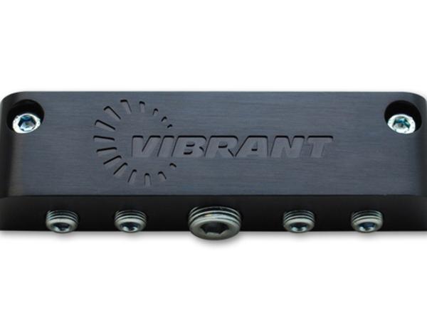 Vibrant 2691