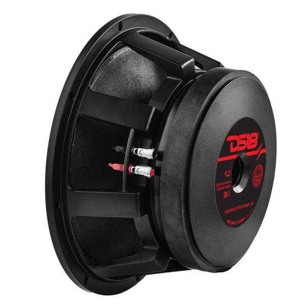 DS18 12PRO2500MB-8