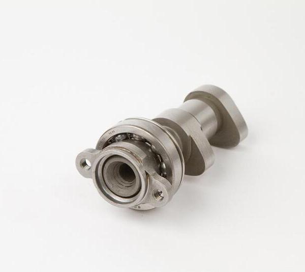 HDS Misc Powersports Hot Cams 2198-2IN
