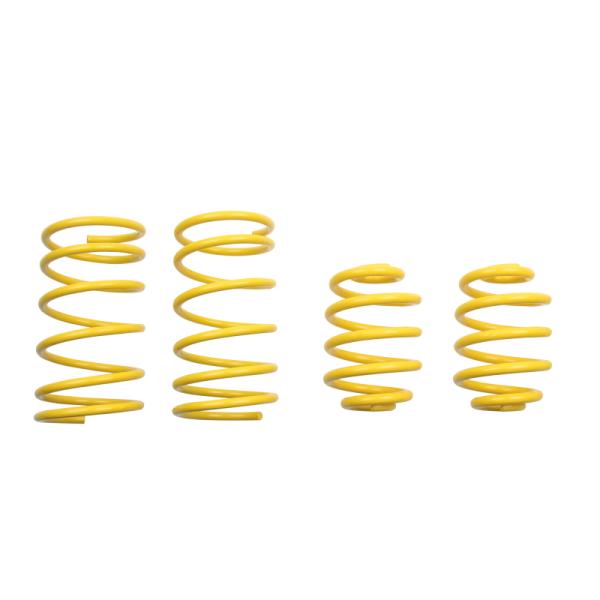 ST Suspensions 65202