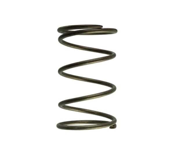 TS Wastegate Springs Turbosmart TS-0550-3092