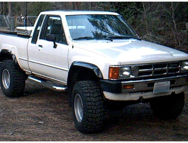 Bushwacker 31902-01