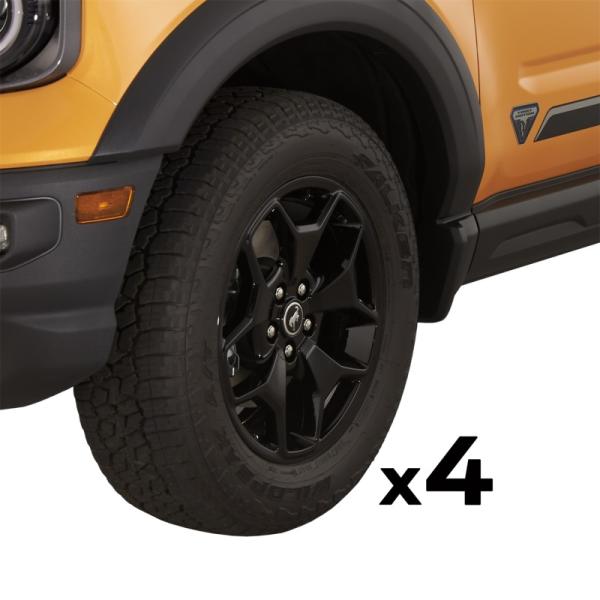 Ford Racing M-1007K-BS17GB