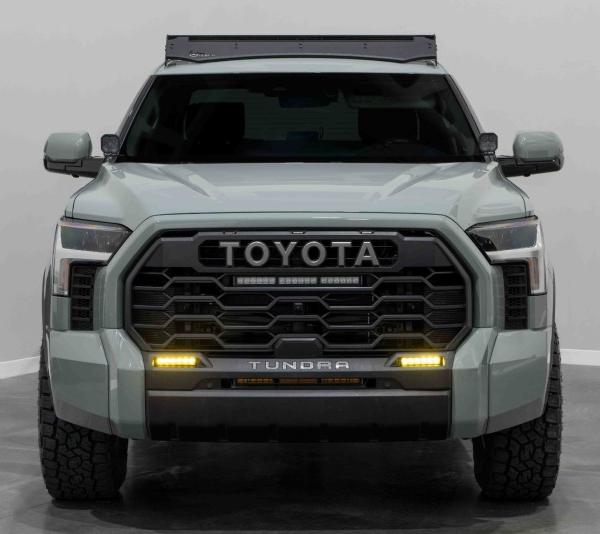 Diode Dynamics DD7417P