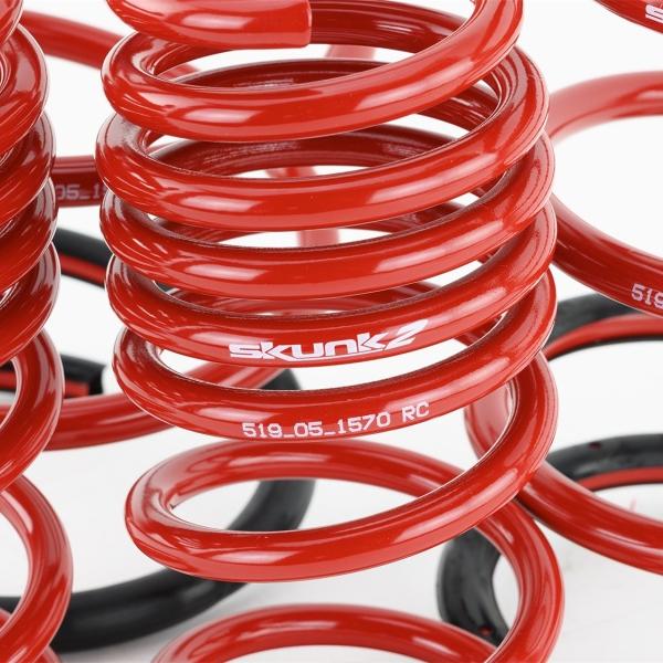 SK Lowering Springs Skunk2 Racing 519-05-1570