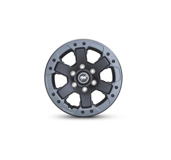 Ford Racing M-1007K-DC178B