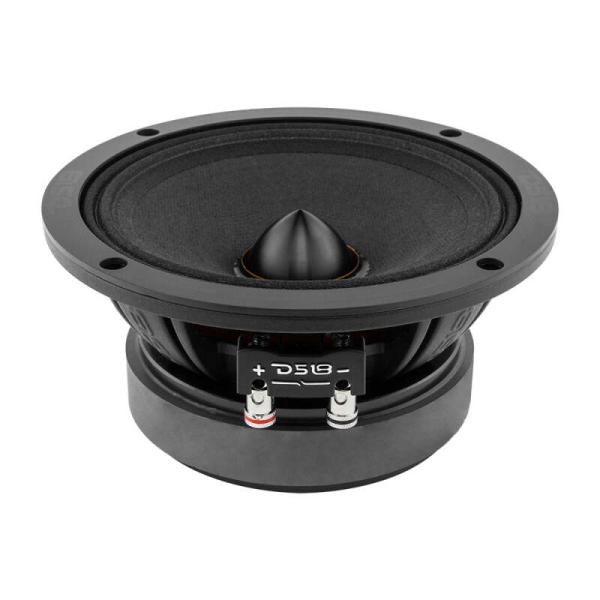 DS18 PRO-ZXI6.4BM