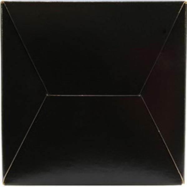 AEM Induction 21-203D-HK