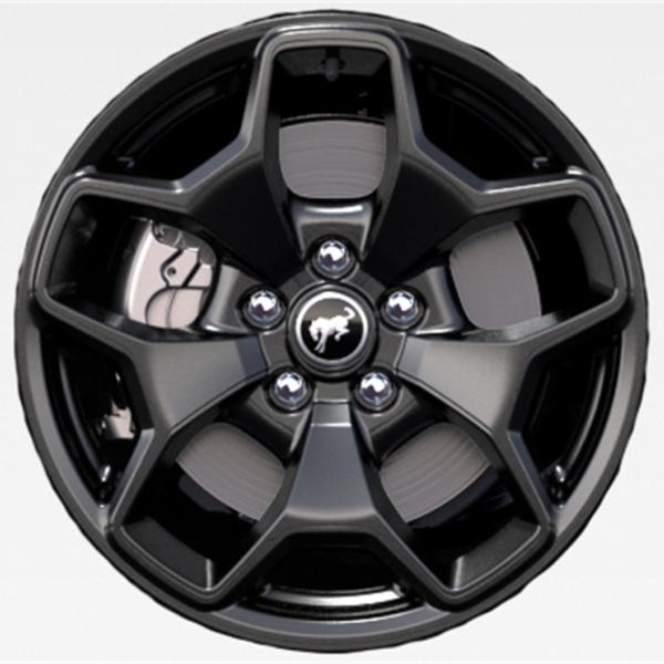 Ford Racing M-1007K-BS17GB