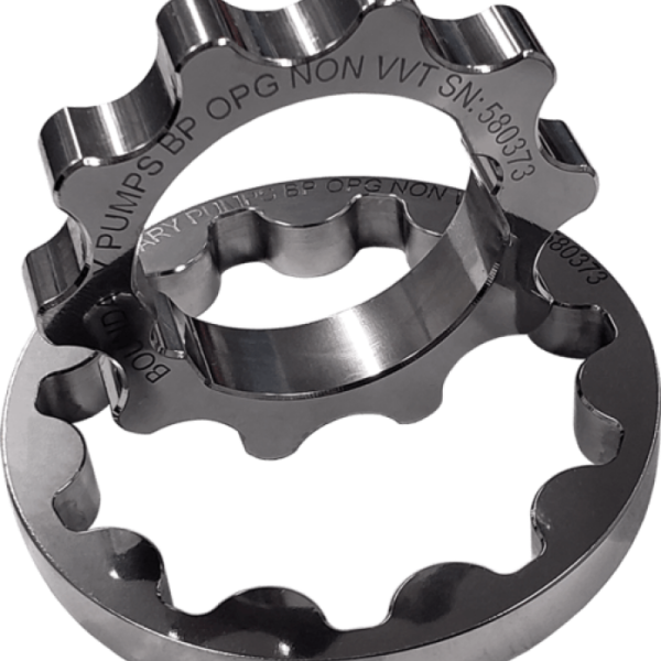 Boundary BP-OPG-VVT-M