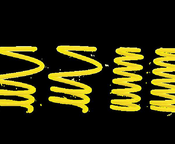 ST Suspensions 65431
