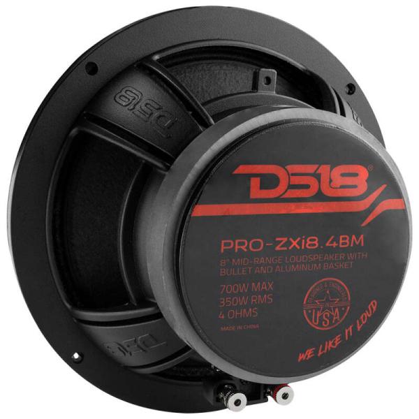 DS18 PRO-ZXI8.4BM