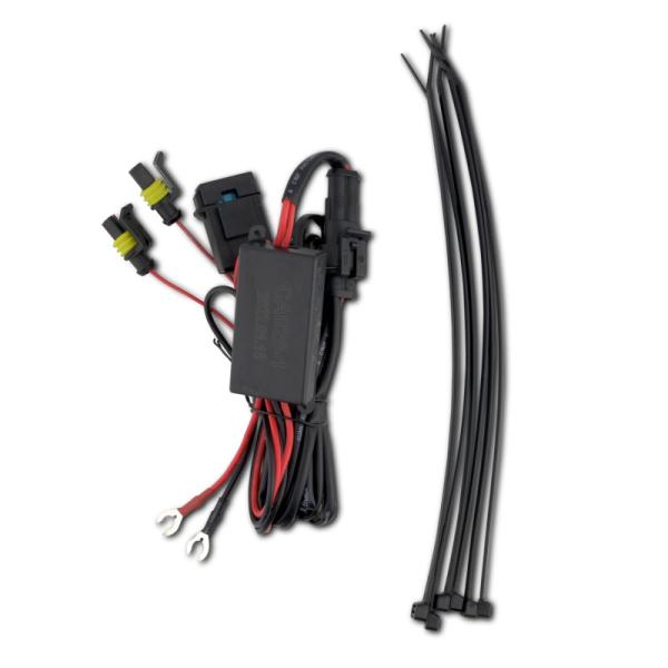 ANZO 111598