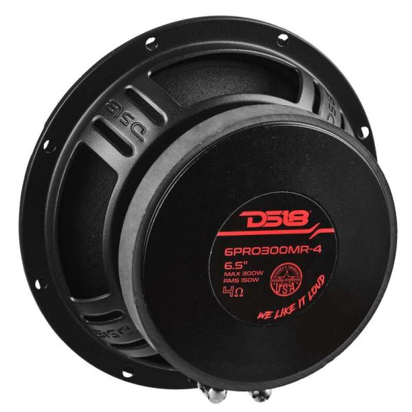 DS18 6PRO300MR-4