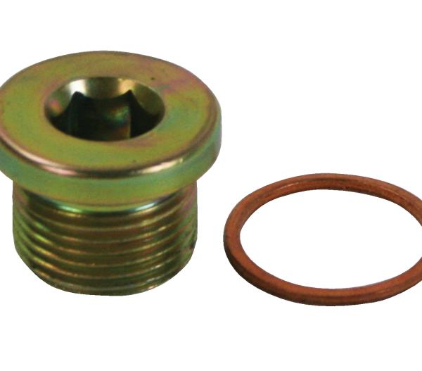 MOR Plugs Moroso 22738