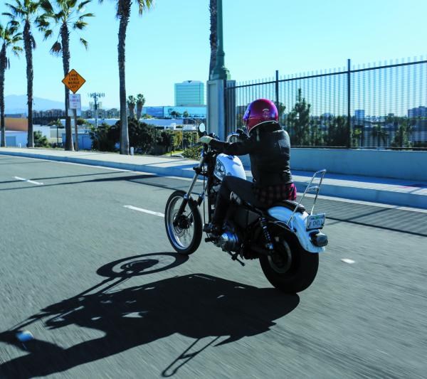 Burly Brand B13-1503C