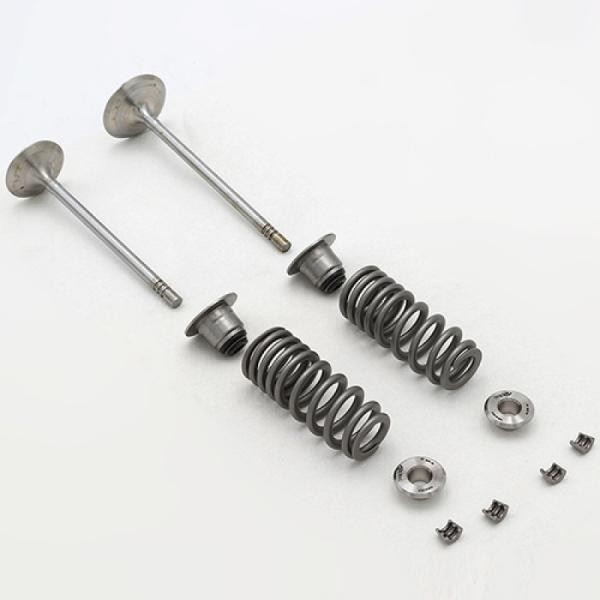 Ford Racing M-6505-FP350S
