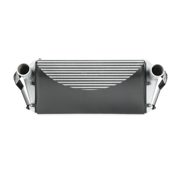 Mishimoto MMINT-RAM-13KSL