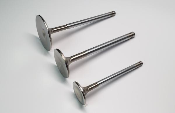 Ferrea F1179P