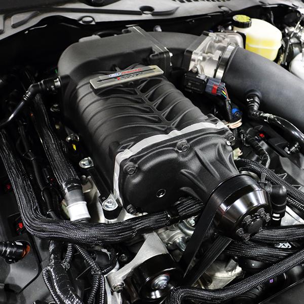 Roush 421823