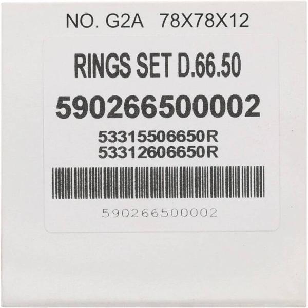 Vertex Pistons 590266500002