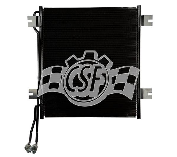 CSF 10595