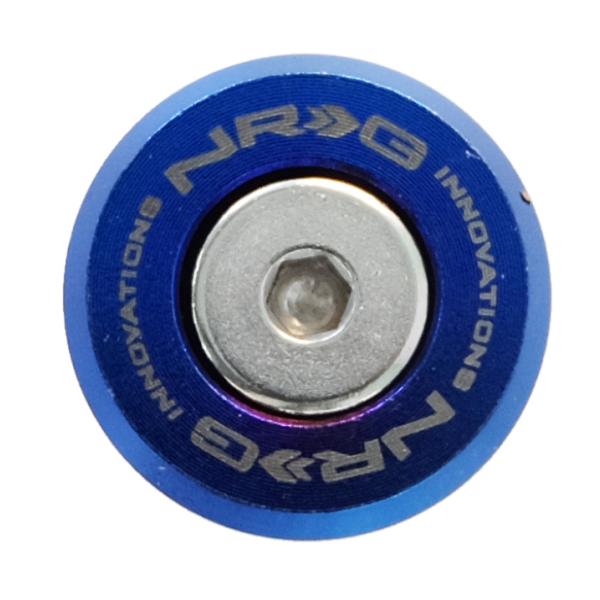 NRG FW-300TS
