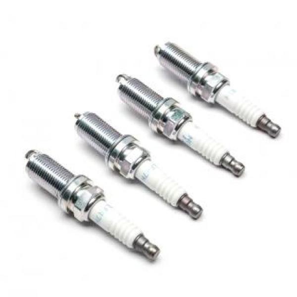 COBB D44700