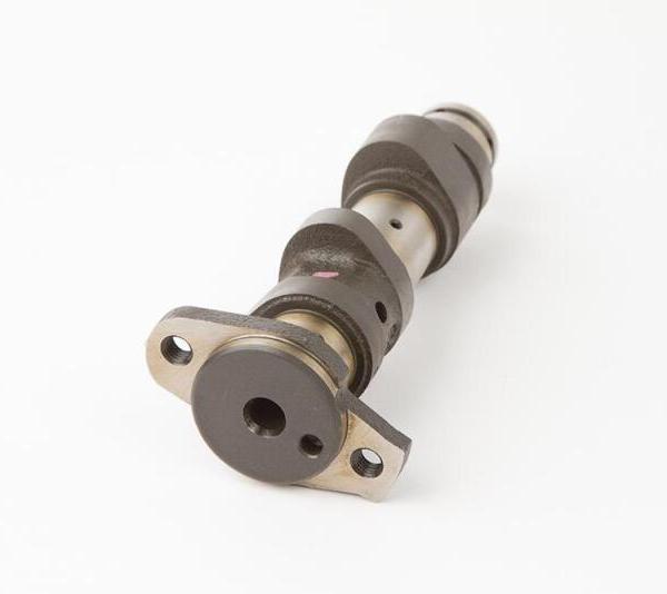 Hot Cams 4050-3