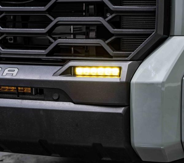 Diode Dynamics DD7417P