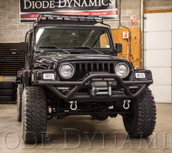 Diode Dynamics DD6001P