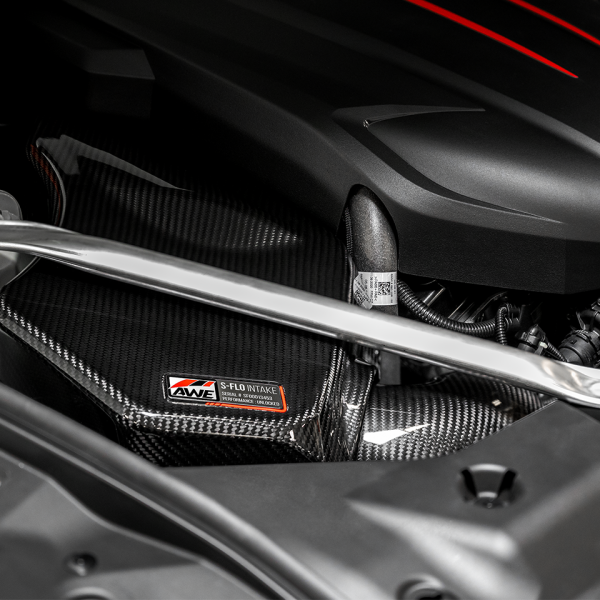AWE Tuning 2660-15019