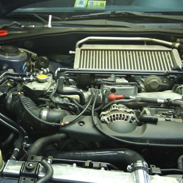 Mishimoto MMHOSE-SUB-ANCRD