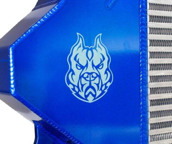 Sinister Diesel SD-IC-6.0